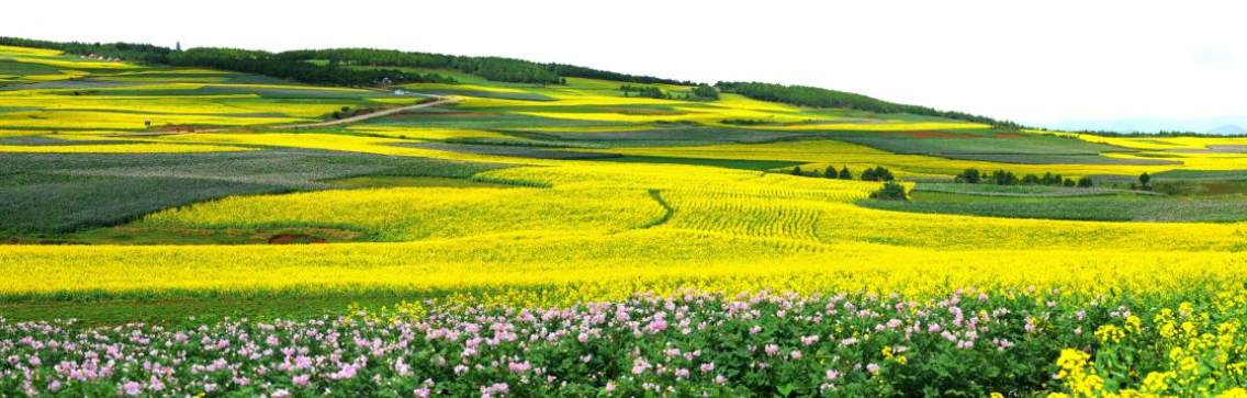 丽江太安太安乡观光休闲农业生态旅游区位于玉龙县西南部,距玉龙县城